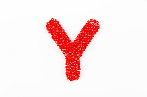 Alphabet of red beads on white background Y