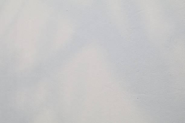 istock Leaves shadow and tree branch on white wall background light from sunlight dappled. Realistic and minimalist blurred natural light 1489277375