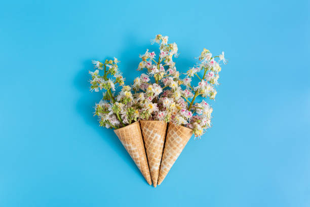 drei süße, knusprige waffeltassen mit kastanienblüten auf blauem hintergrund - chestnut isolated tree three objects stock-fotos und bilder