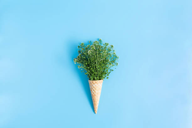 istock waffle cup with a bouquet of capsella on a blue background 1489278483