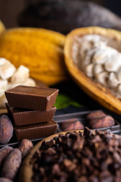 istock Cocoa beans and cocoa pod on a wooden surface. 1489282880
