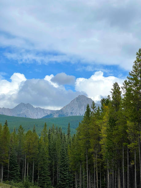 istock Banff national park in Alberta, Canada 1489288078