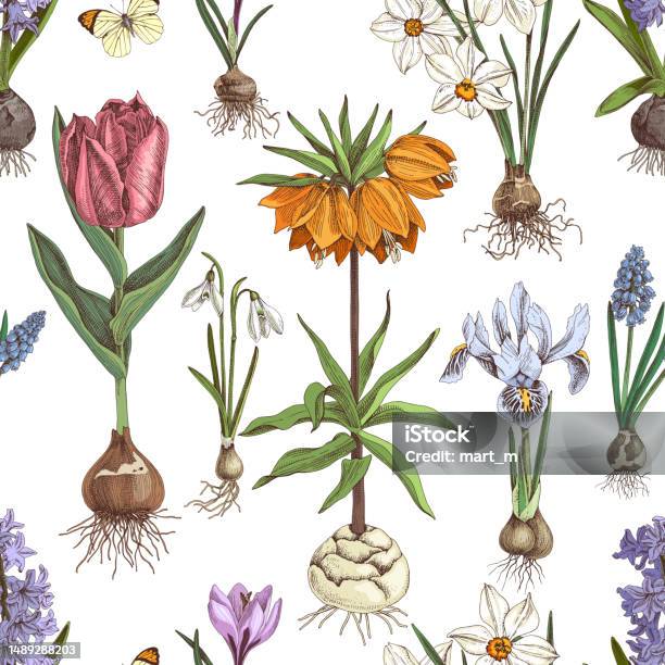 Basic Botany Photo Basic Rgb Stock Illustration - Download Image Now - Botany, Bud ...