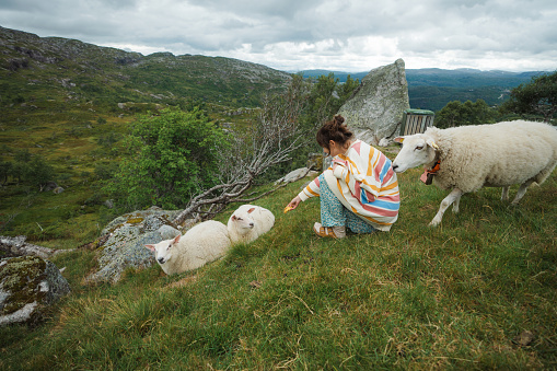 Young Caucasian woman with sheep in Norwegian countryside