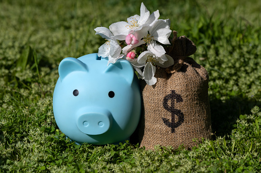 Money bag with american dollar symbol and branch of blossoming apple tree