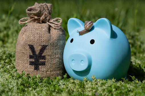 Green plant growing from piggy bank.