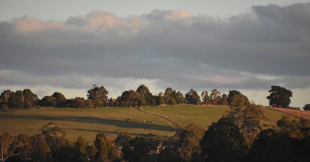 istock LANDSCAPE OF GOLDEN HOUR ON HILL 1489321718