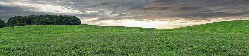 landscape with hills