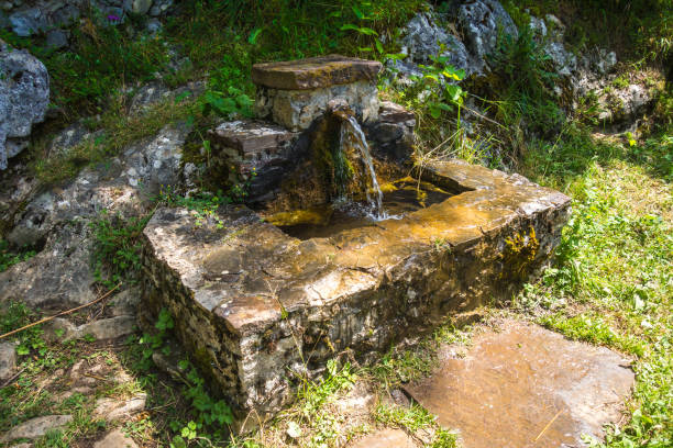 istock Fountain in Picos de Europa, Asturias, Spain 1489330231