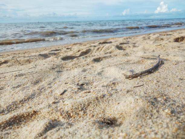 istock beautiful beach with crashing sea water. 1489339551