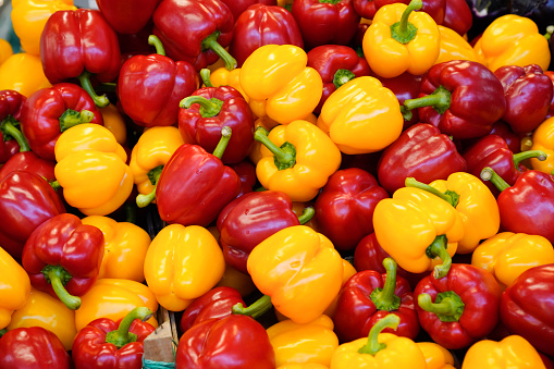 pepper freshness group of little yellow and red peppers background