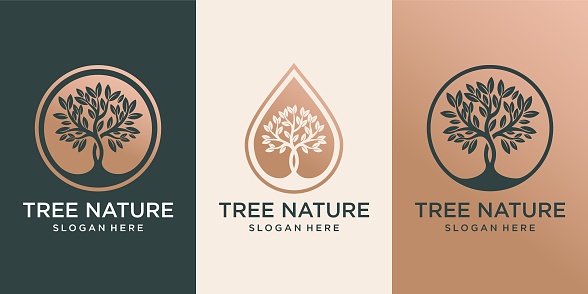 set of logo tree and Drops or water combined with tree. logo design Premium Vector