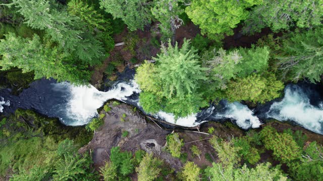 Aerial top down view of mountain river with waterfalls in the green forest. Oregon, United States