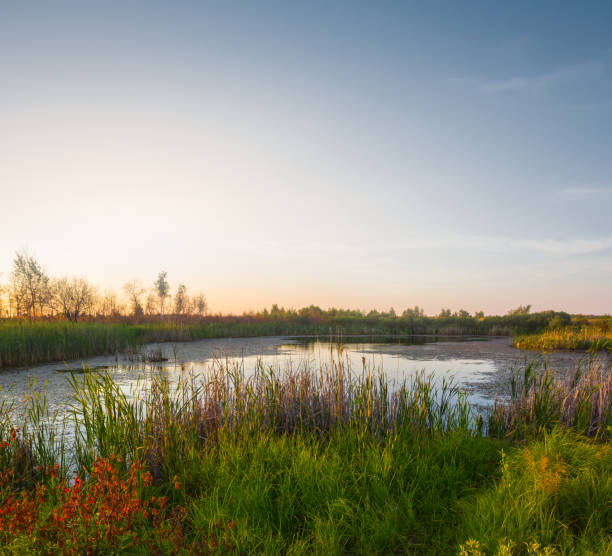 istock small calm lake in prairie at the sunset 1489358773