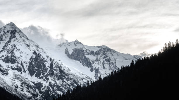 istock Snow Capped Mountains View with sky, trees, and cloud 1489360949