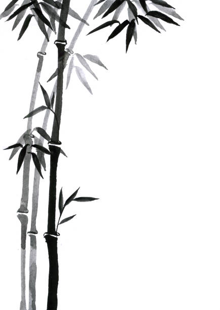 malowanie tuszem bambusowym drzewem w prostym, minimalistycznym stylu na tle papieru ryżowego. tradycyjne orientalne malarstwo tuszem sumi-e, u-sin, go-hua. hieroglif - przejrzystość - bamboo watercolor painting isolated ink and brush stock illustrations