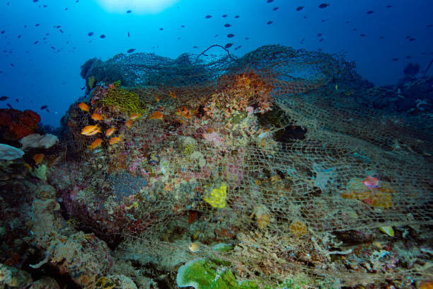 istock Discarded fishing net on a coral reef 1489378074