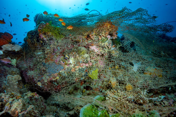 istock Discarded fishing net on a coral reef 1489378147