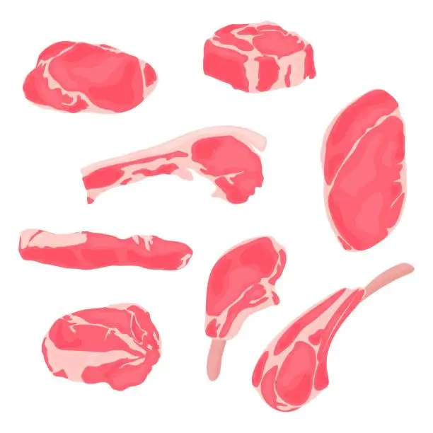Vector illustration of This collection of vector illustrations showcases different types of meat, from chopped lamb to prime rib, ready to be used in your BBQ-themed designs.