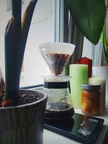 Coffee and plants
