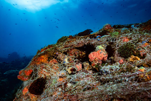 istock Discarded fishing net on a coral reef 1489378613
