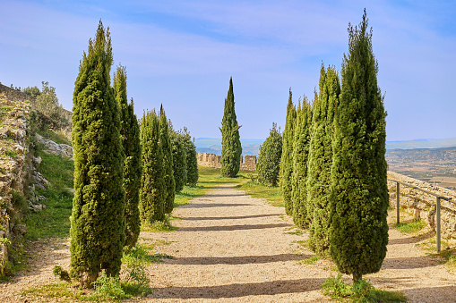 Panoramic view of the gardens and Florence at Villa La Petraia, one of the Medici villas in Castello, Florence, Tuscany. It has a distinctive 19th-century belvedere on the upper east terrace with the view of Florence. It is a declared Unesco World Heritage site.