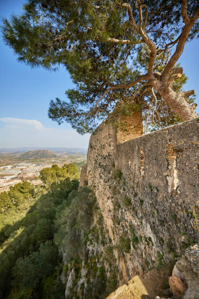 istock Walls of an ancient stone fortress with a large tree 1489383394