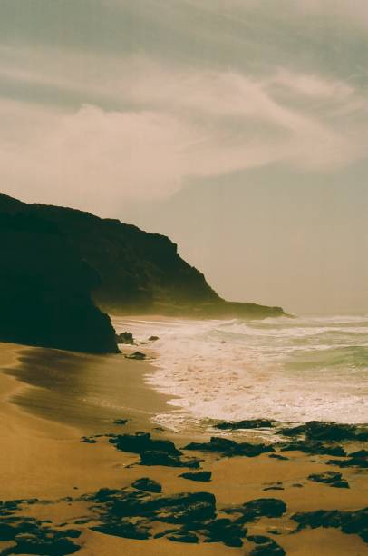 istock Wild coast in Portugal 1489388212