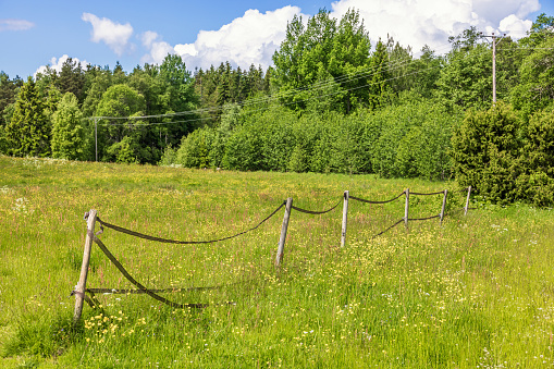 istock Fence in a meadow with blooming Meadow buttercups 1489388615