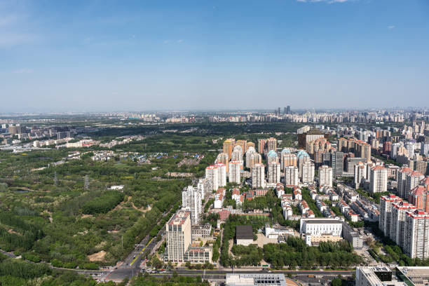 istock Olympic Forest Park Green City 1489388749