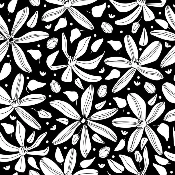 Vector illustration of Clematis white Flowers and leaves Seamless Pattern for Wallpaper, Print, Fabric, Textile. Summer Spring floral on black background