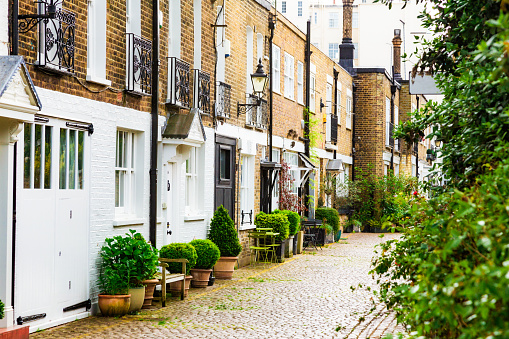 Mews houses on a cobbled street in Kensington, London, UK. The street is lined with lush foliage and potted plants.