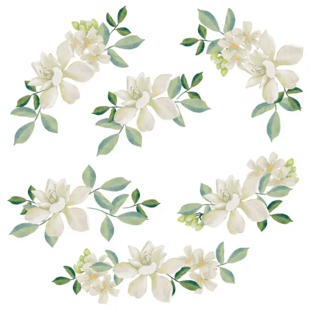 Vector illustration of watercolor white thai flower gardenia and orange jasmine bouquet wreath frame collection