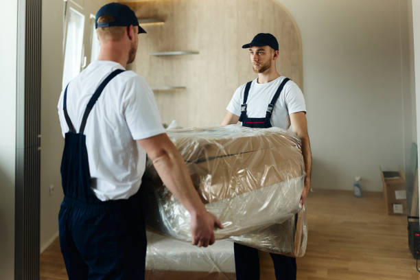 Male movers carrying furniture in the apartment. stock photo