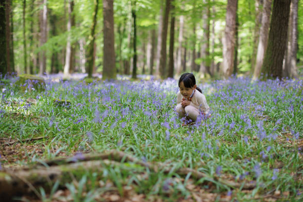A portrait of a biracial boy sitting in the wood enjoying the spring.