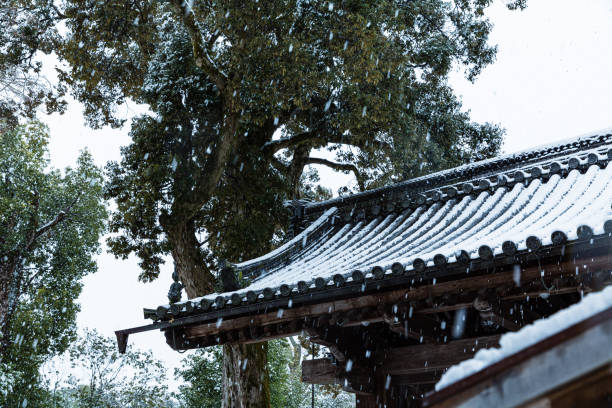 il recinto del tempio kinkaku-ji con la neve a kyoto, giappone - kinkaku ji temple foto e immagini stock