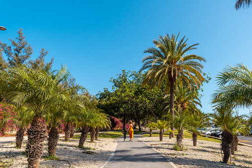 A mother with her son walking through Los Cristianos through a park with palm trees on the island of Tenerife in summer, Canary Islands