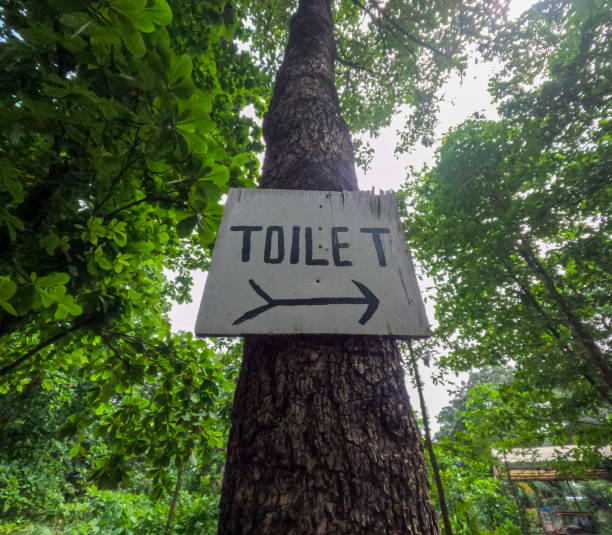 toilet sign hanging from a tree