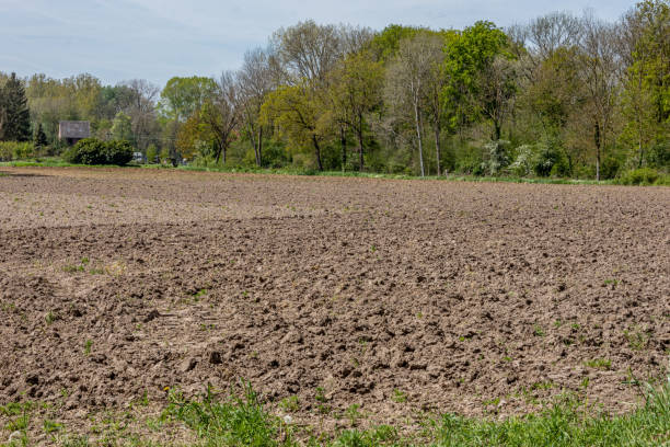 Uncultivated agricultural land, plowed and prepared for planting vegetables stock photo