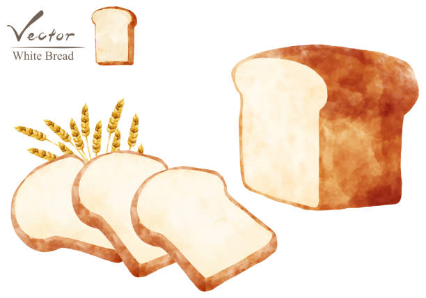 vektorisiertes illustrationsset von weißbrot mit weizen. - bread baked illustration and painting vector stock-grafiken, -clipart, -cartoons und -symbole