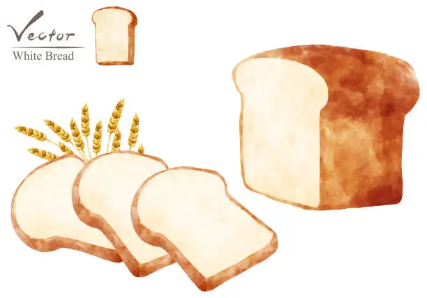 Vector illustration of Vectorized illustration set of white bread with wheats.