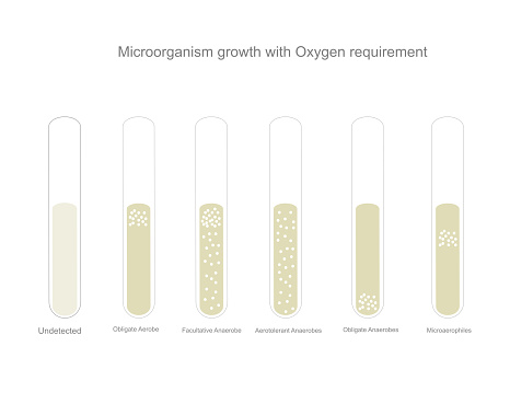 The bacterial identification of microorganism growth with oxygen requirement that show the bacterial type : Obligate Aerobe, Facultative Anaerobe, Aerotolerant Anaerobe, Obligate anaerobe, Microaerophiles