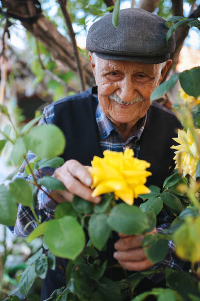 istock Senior man in rose garden 1489414759