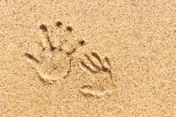 Two handprints of adult and child on sand with space for text. Beach vacation and summer holidays with children concept photo