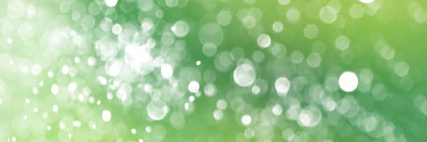 istock Summer green sparkling glitter bokeh background banner 1489420986