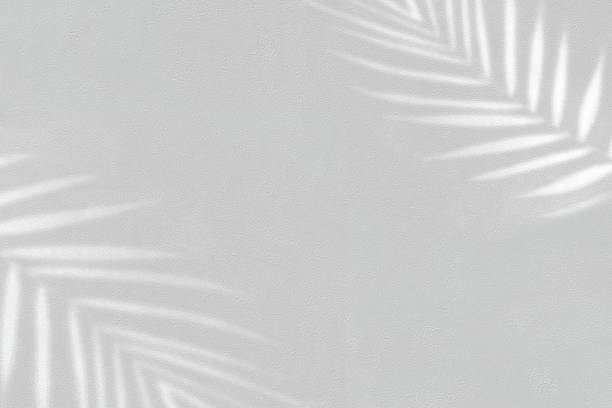 istock Palm leaves overlay on gray concrete wall 1489421039