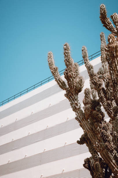 istock Vintage buildings in Ibiza 1489422769