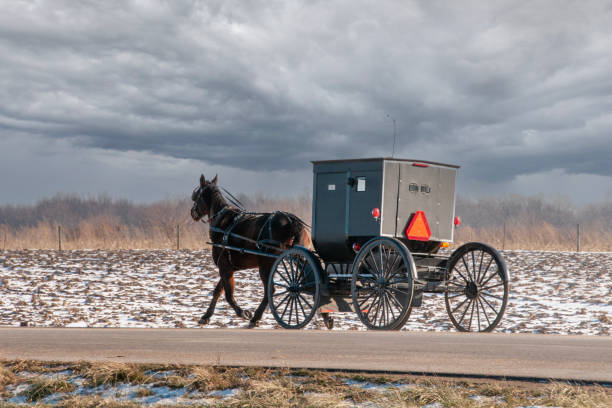 istock Amish Horse and Buggy in Winter 1489427586