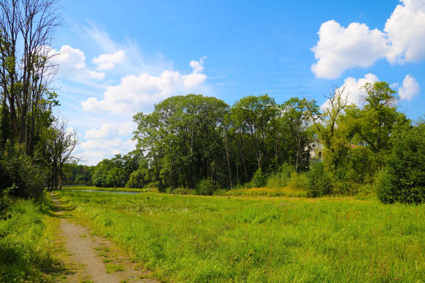 istock Countryside, green trees and meadow, blue sky and white clouds. 1489428045