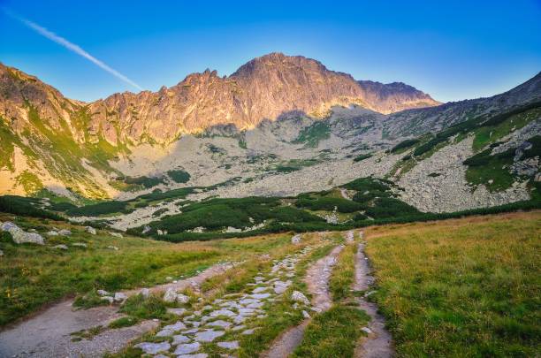 istock Summer mountain landscape in Slovakia. 1489431310